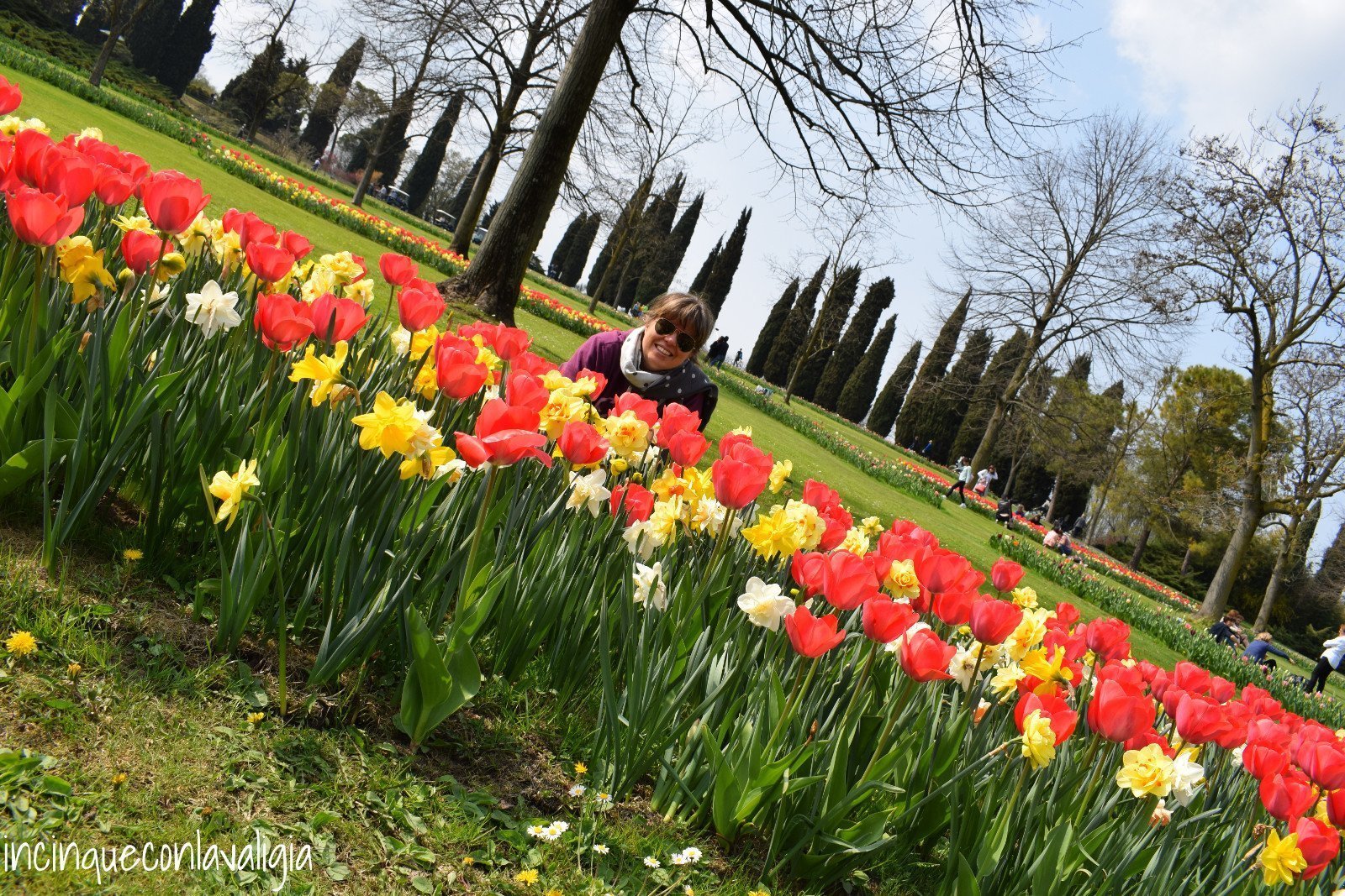 Fioritura di tulipani al Parco Sigurtà Parco Sigurtà tulipani