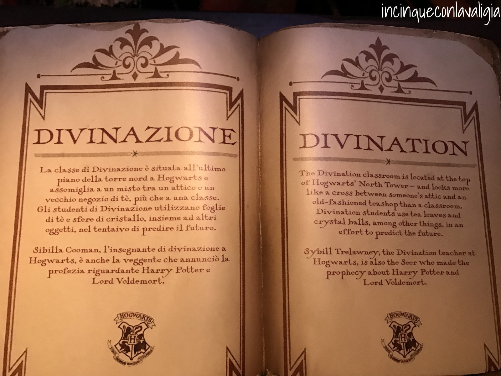 Le classi di Hogwarts Mostra di Harry Potter a Milano