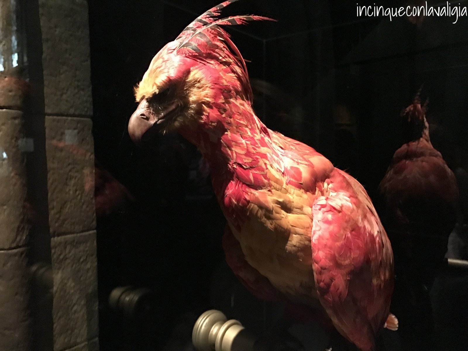 La fenice di Harry Potter Mostra di Harry Potter a Milano