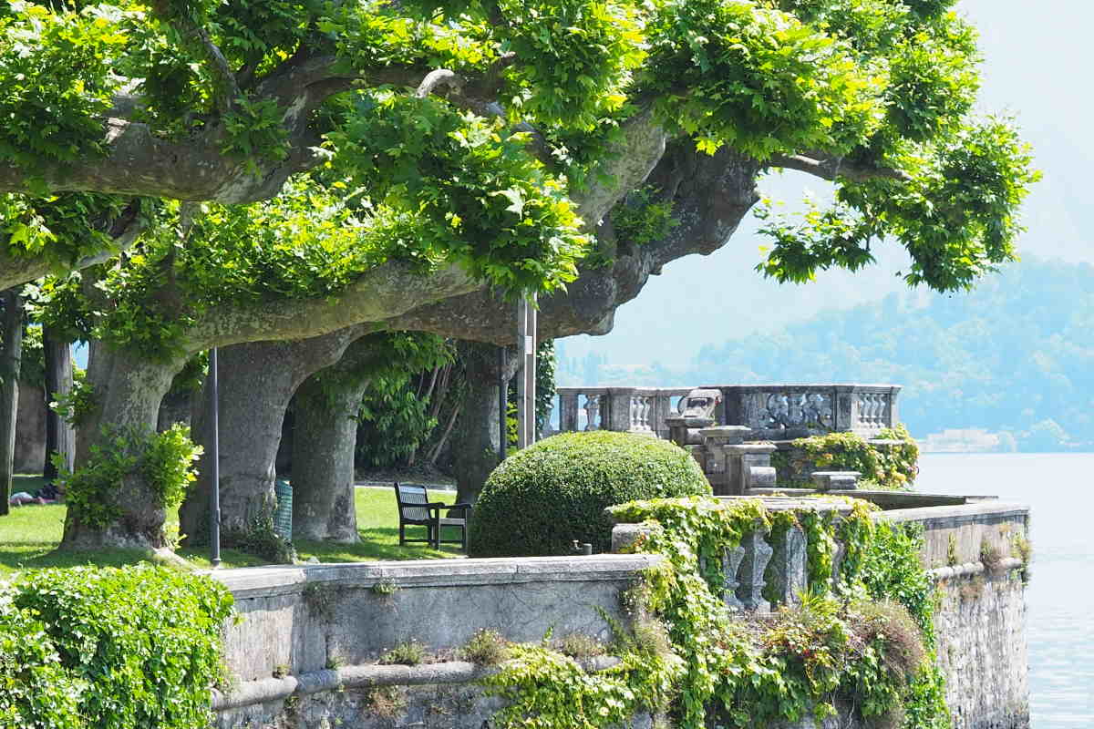 Il Parco Teresio Olivelli a Tremezzo Parco Teresio_Olivelli_Tremezzo
