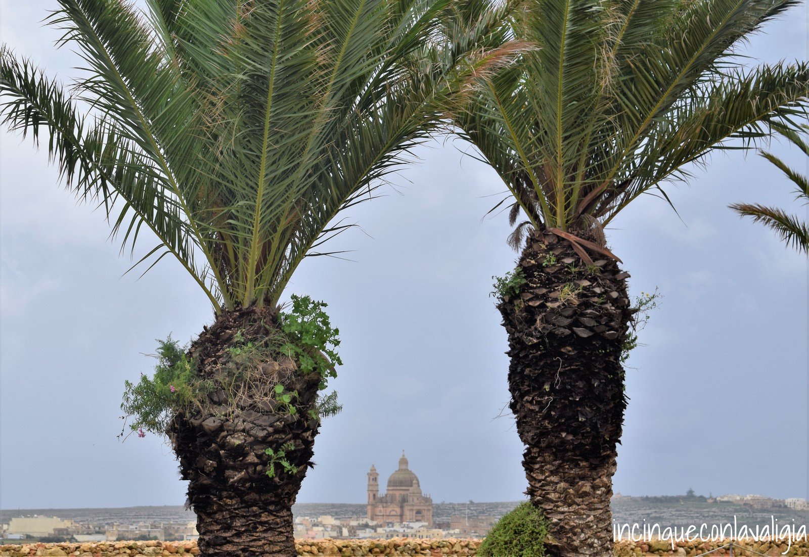 Vista su Gozo Vista su Gozo