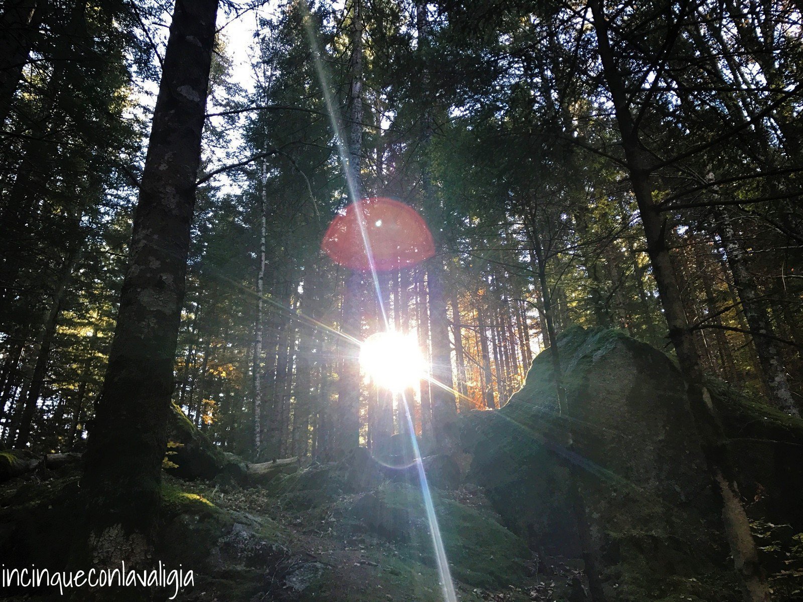 Foresta dei bagni di Masino Luci nella foresta autunno in Lombardia