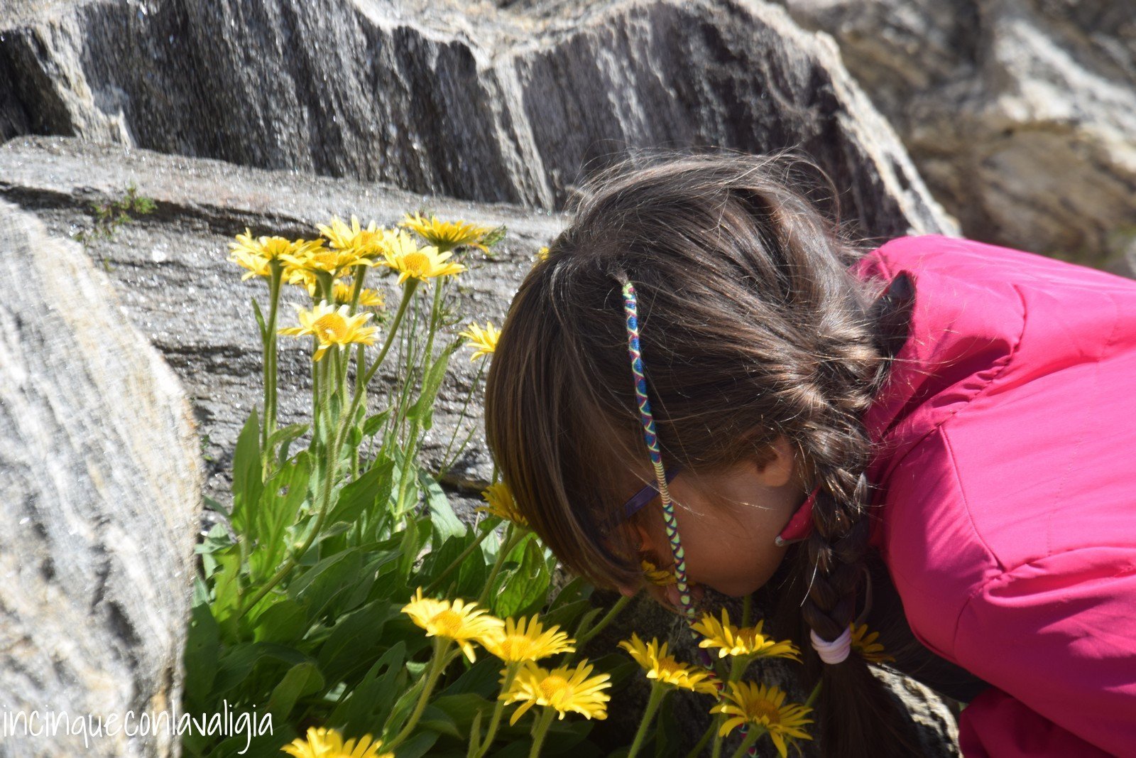 I fiori al passo della Novena Passo della Novena