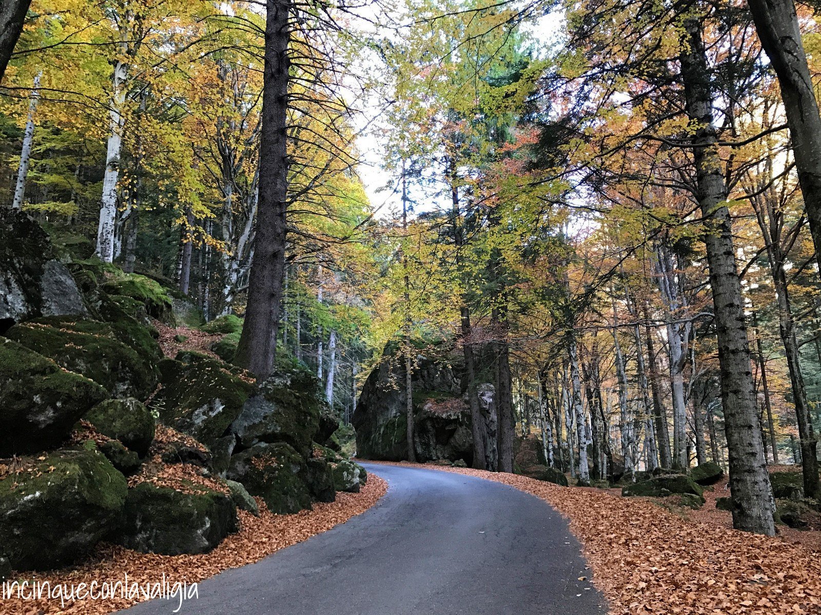 Fall Foliage in Lombardia Fall Foliage autunno in Lombardia