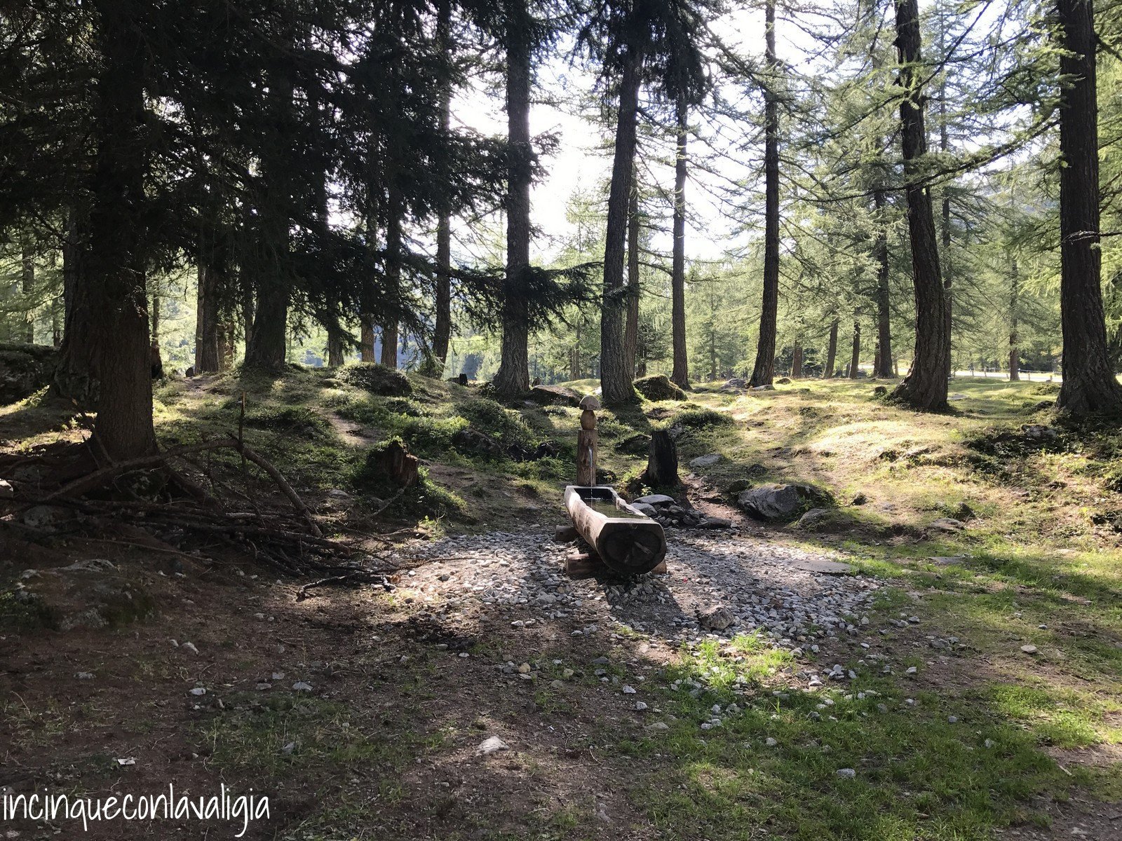 Bosco in Val Bedretto Cioss Prato