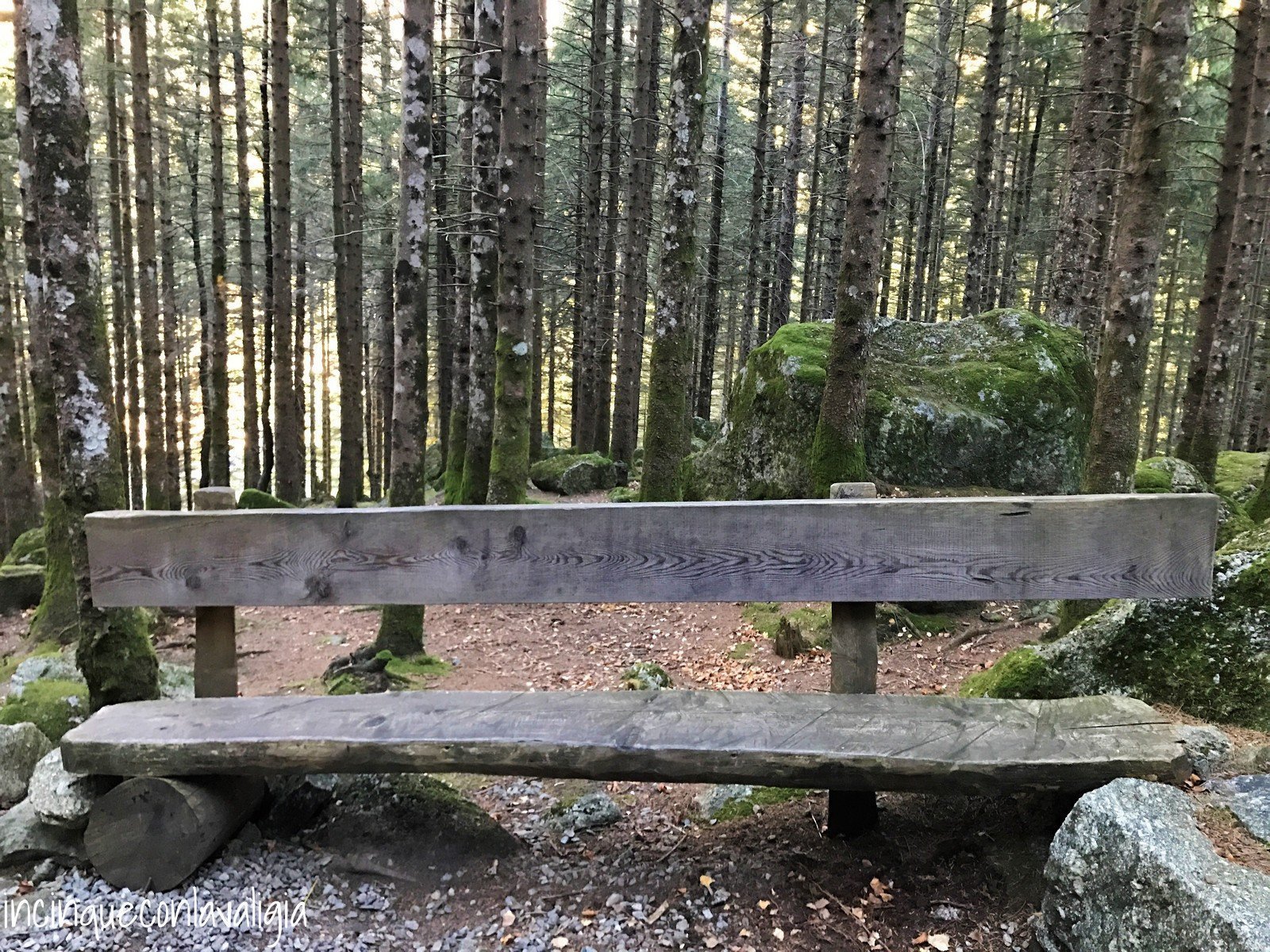 Panchina lungo il percorso sensoriale Panchine in Val Masino