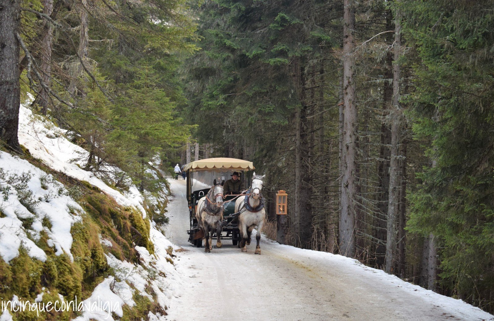 Carrozza trainata dai cavalli nella neve in Carinzia Carrozza nella neve sentiero dell'avvento in Carinzia