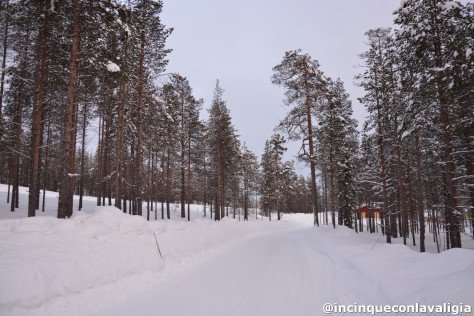 Il nostro cottage tra i boschi a Salla Quanto costa andare in Lapponia? il nostro cottage