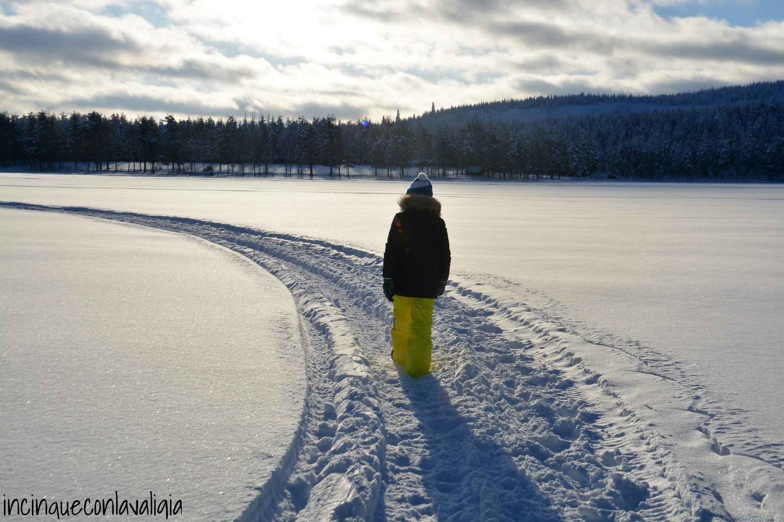 Lapponia svedese in inverno Lago ghiacciato nella Lapponia svedese