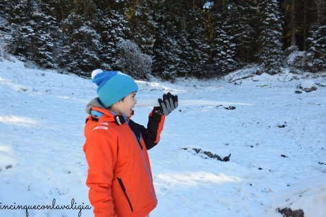 Alto Adige in inverno con bambini Alto Adige in inverno con bambini
