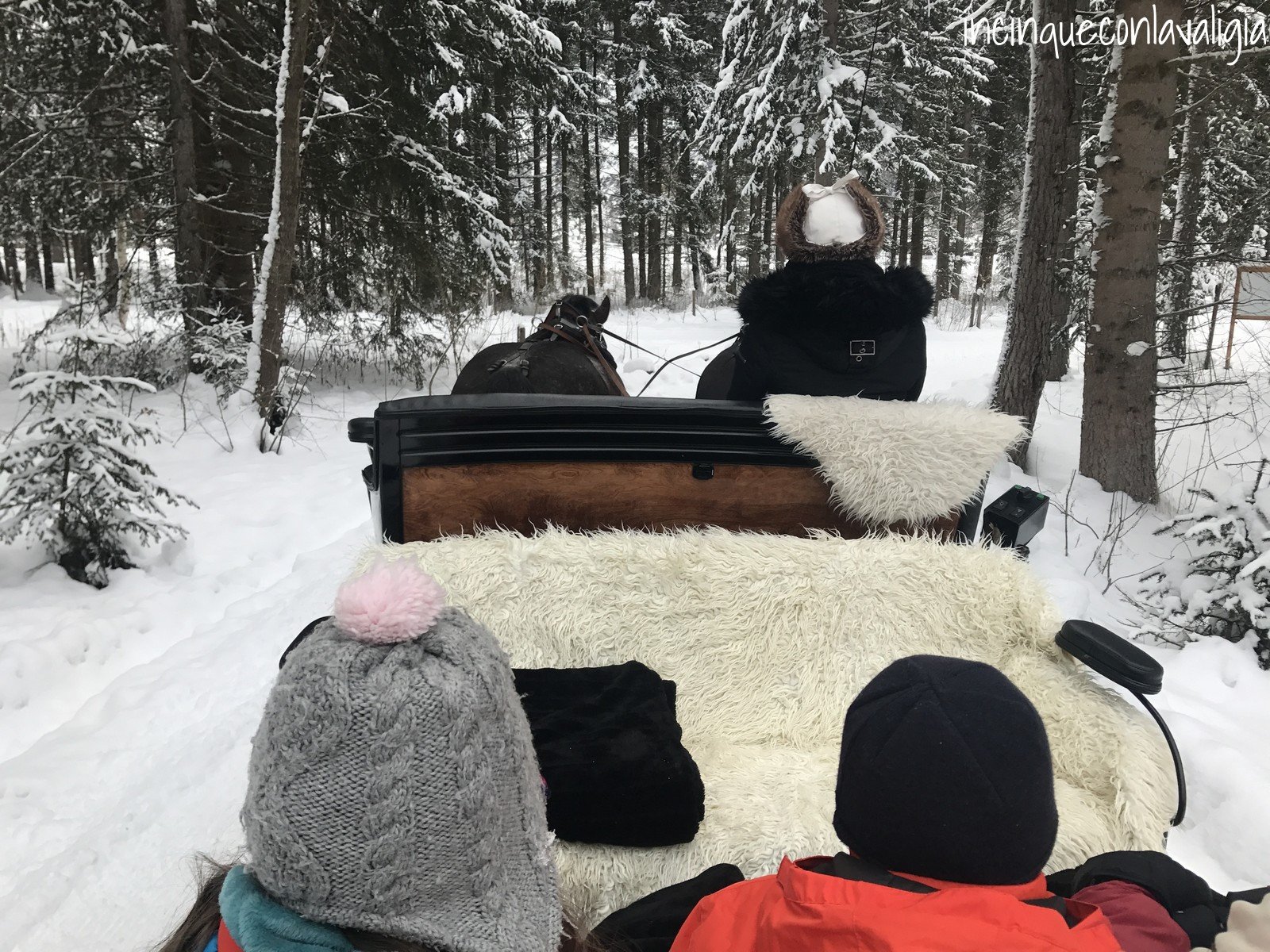 Carrozza trainata dai cavalli nella neve Tirolo Orientale Carrozza trainata dai cavalli Ötztal Tirolo in inverno