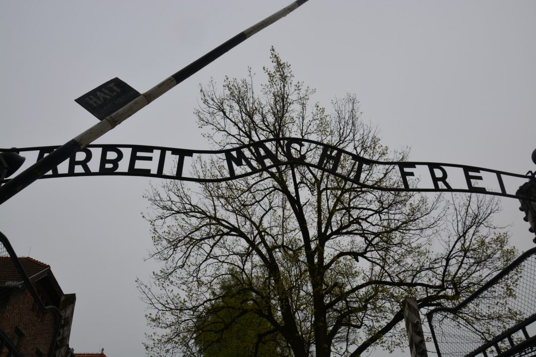 Auschwitz con bambini