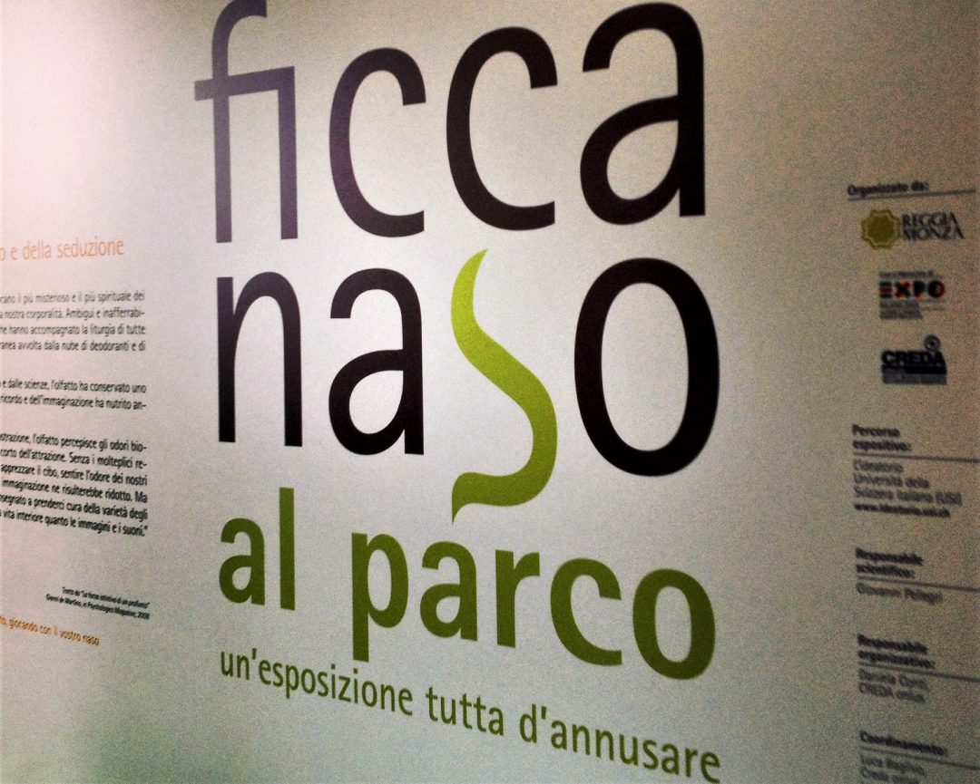 Mostra_Ficcanaso