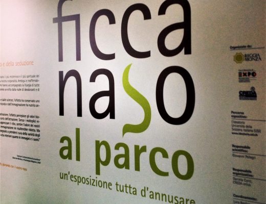 Mostra_Ficcanaso