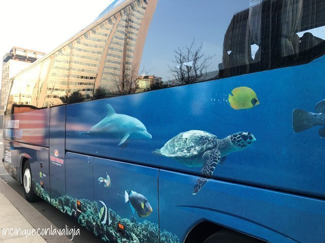 Navetta gratuita acquario