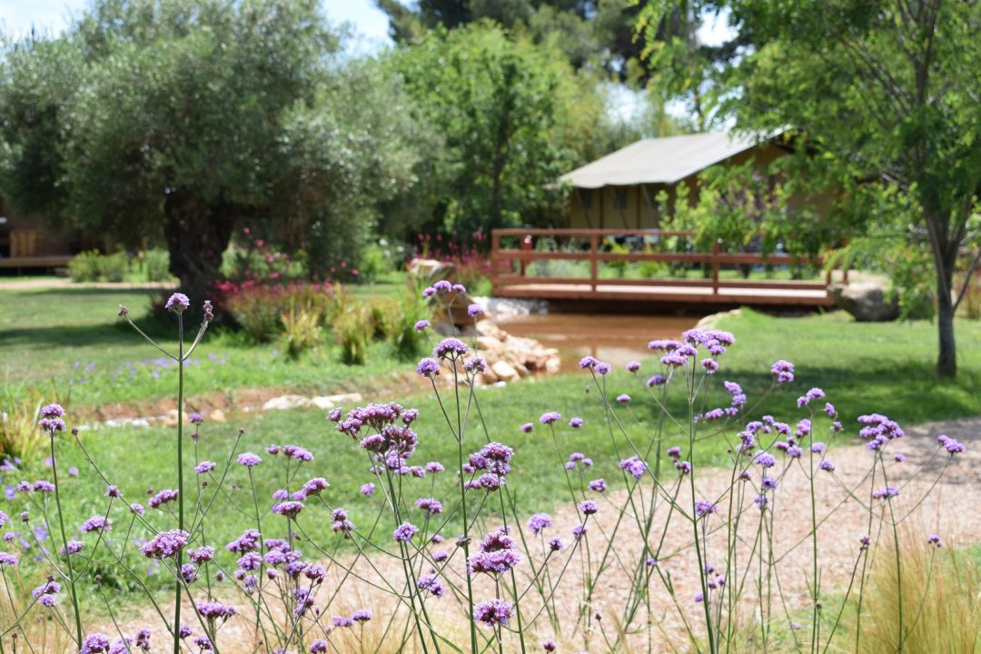 Glamping_Toscana_le Capanne