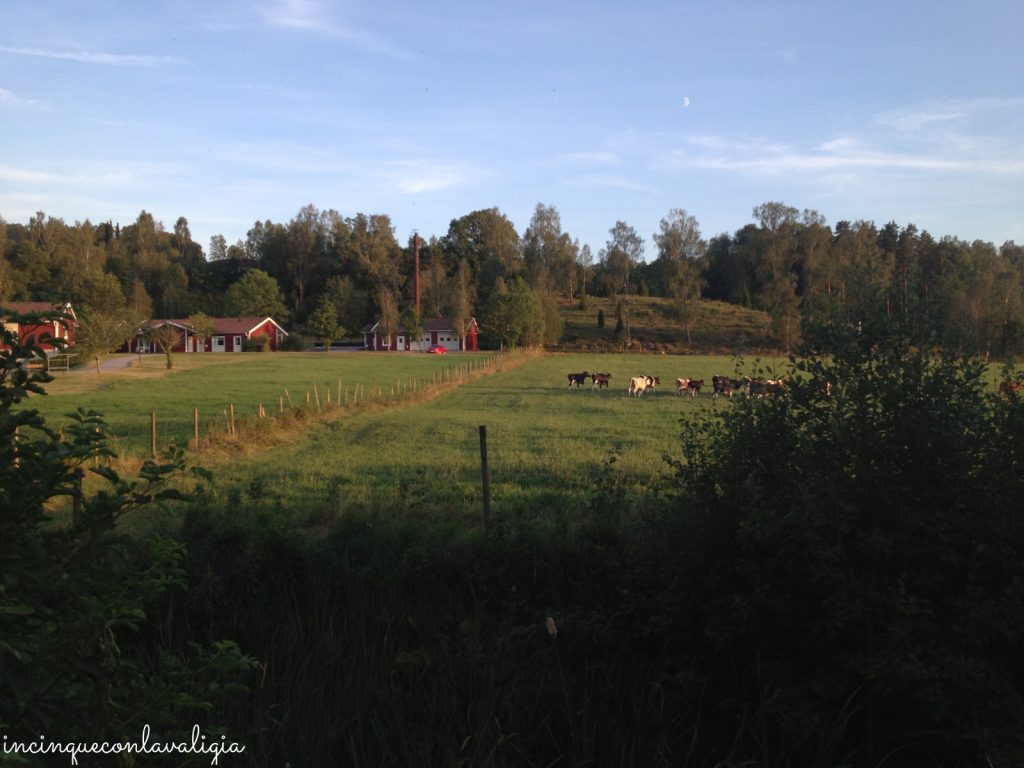 Fattoria nella campagna svedese Paesaggio_Svezia