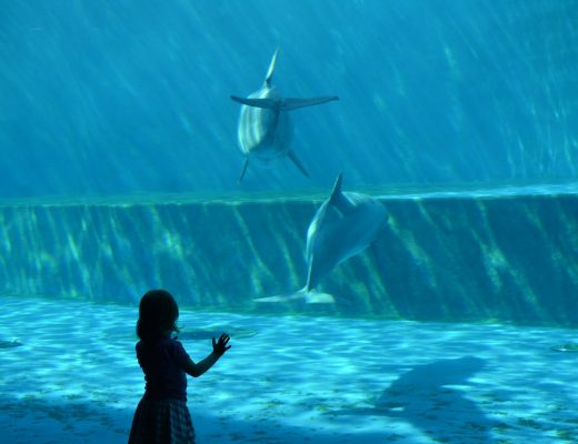 Vasca_Emozioni_acquario