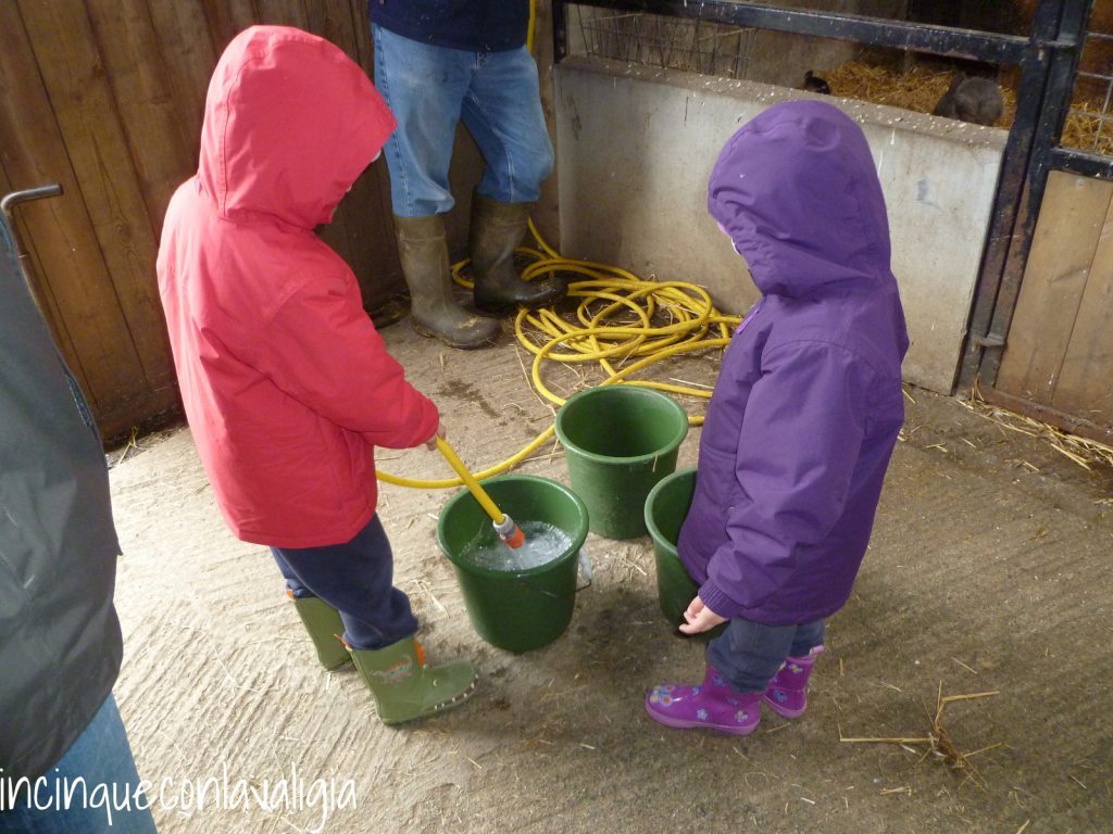 Riempire i secchi in fattoria Fattoria didattica per bambini in Cornovaglia
