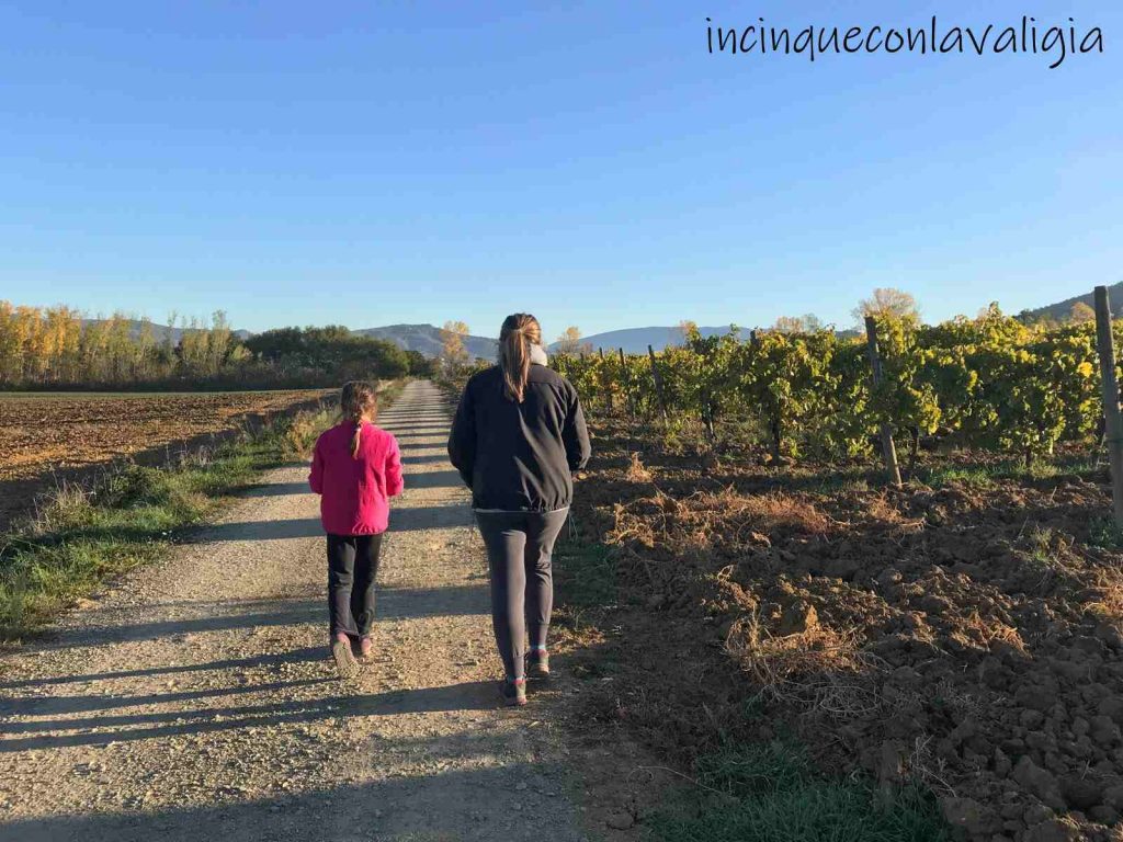 Vacanze in campagna con bambini Vacanze in fattoria con bambini