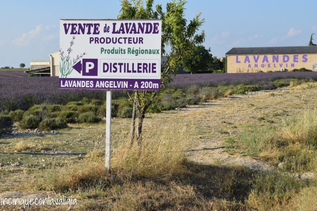 Distilleria di lavanda Distilleria di lavanda sul Plateau de Valensole