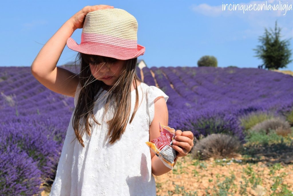 Lavanda Provenza Fotografarsi in mezzo ai campi di lavanda