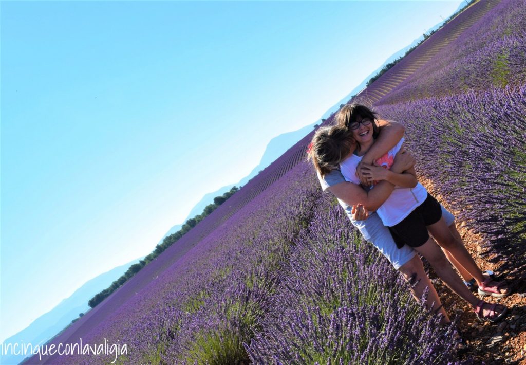 Campi di lavanda in Provenza con bambini Fotografare la lavanda