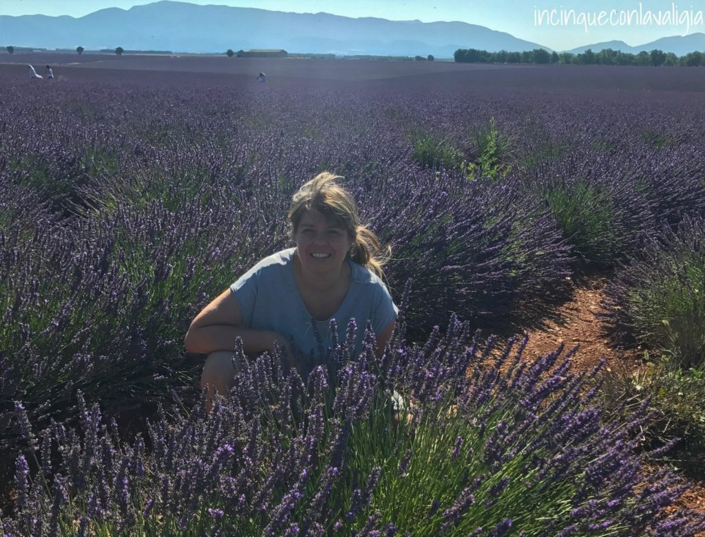 Foto tra i campi di lavanda Foto nella lavanda fiorita in Provenza