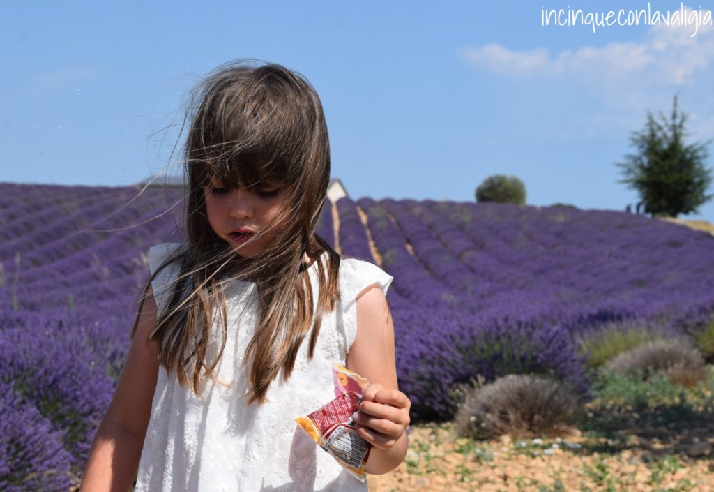 Fotografarsi nei campi di lavanda Bambini nella lavanda