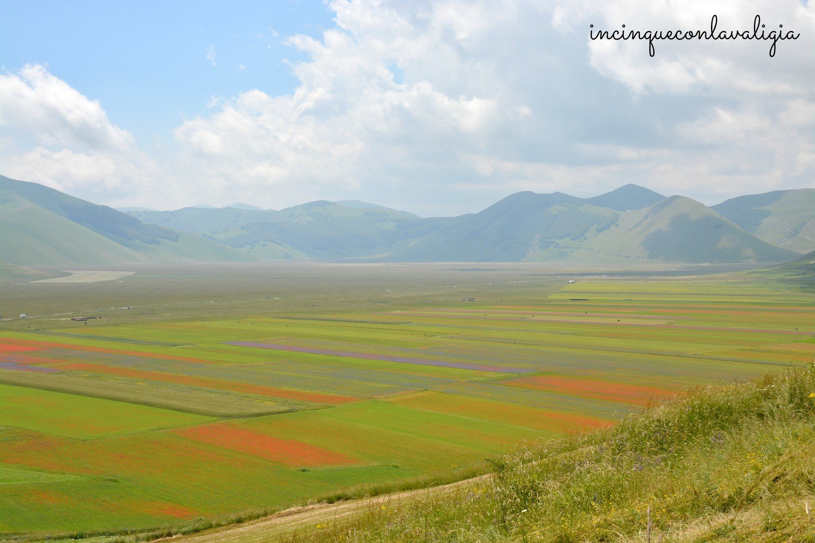 Vista sulla piana di Castelluccio Fioritura della lenticchia dall'alto