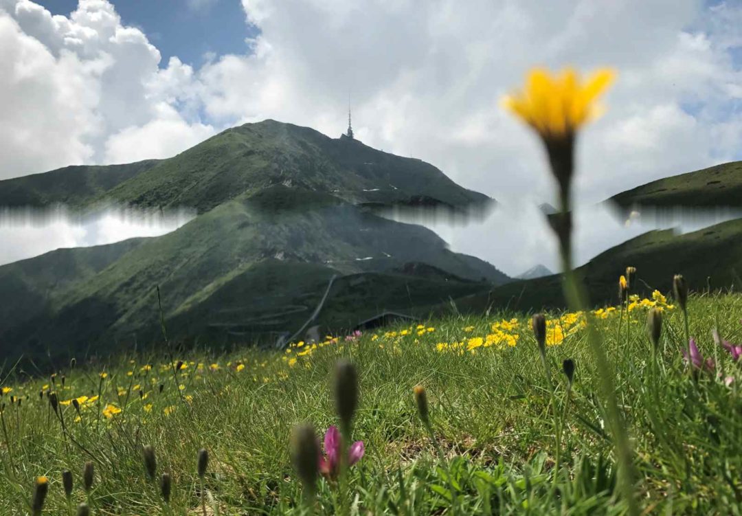 Monte Tamaro Svizzera parco in quota