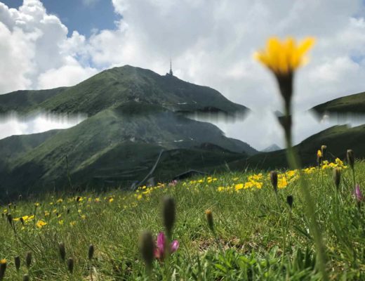 Monte Tamaro Svizzera parco in quota