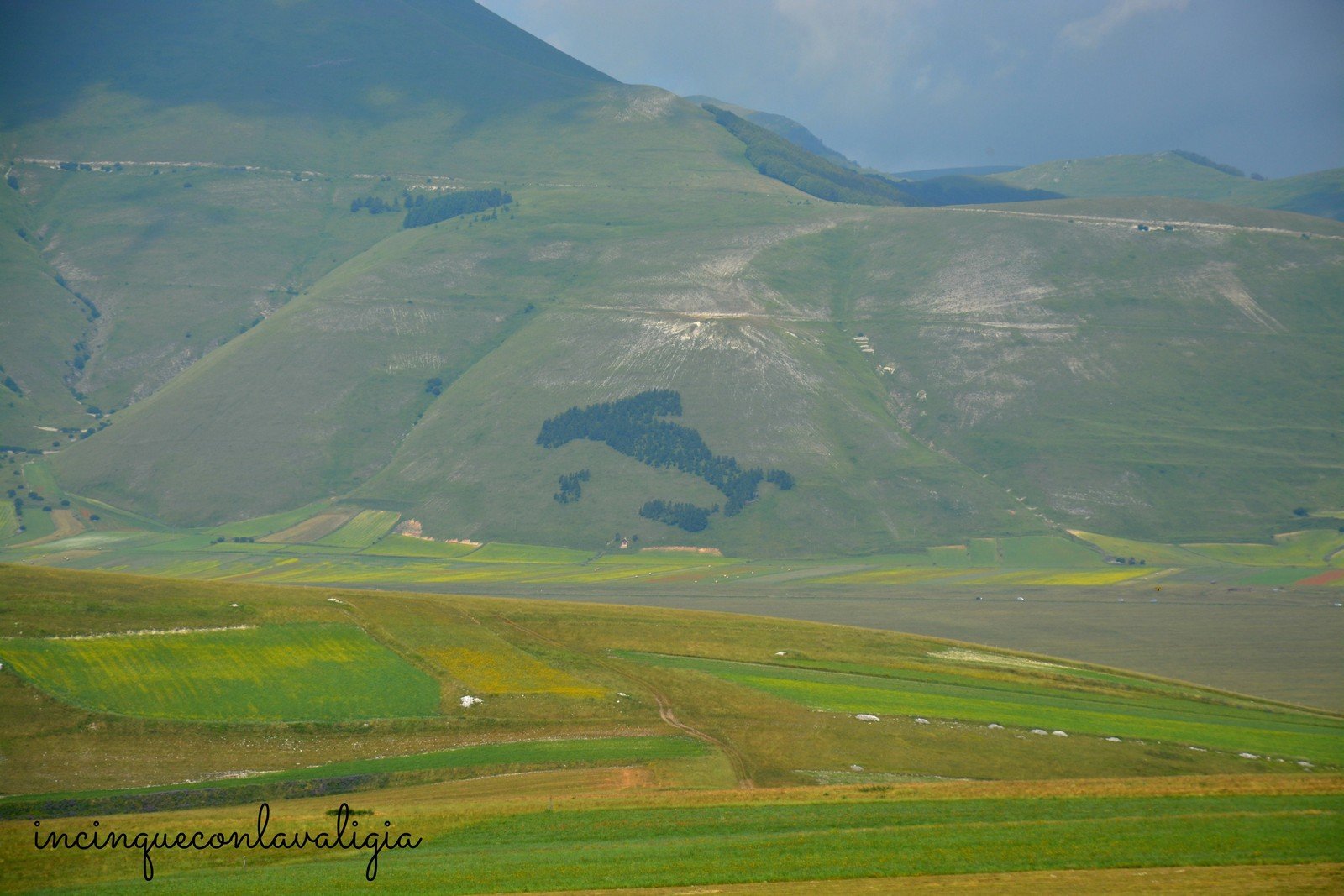 L'Italia fatta di alberi, peculiarità di Castelluccio Italia di alberi a Castelluccio