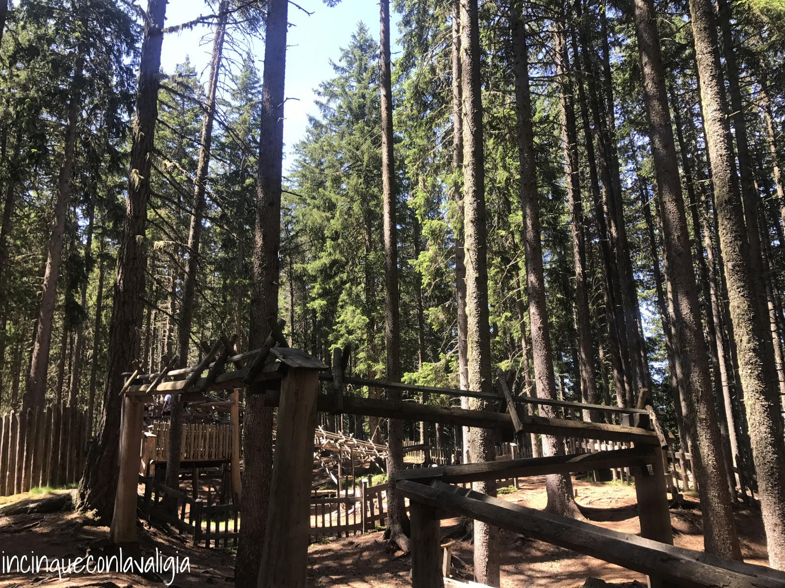 Pista di biglie nel bosco Bosco pino cembro TIrolo Kugelwaldd