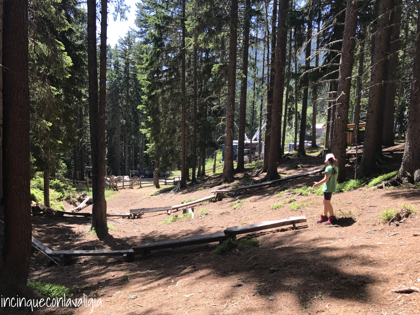 Avventurarsi nel bosco Pista di biglie nel bosco Kugelwald