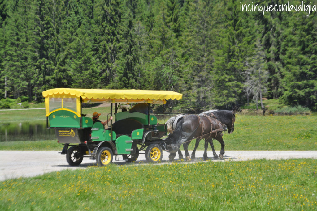 Giro in carrozza con i cavalli a Seefeld Giro in carrozza a Seefeld in Tirolo