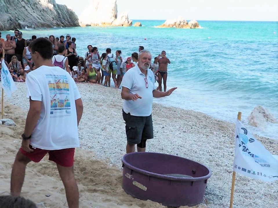 Fondazione Cetacea rilascio tartarughe Conero Fondazione cetacei volontari spiaggia delle Due sorelle