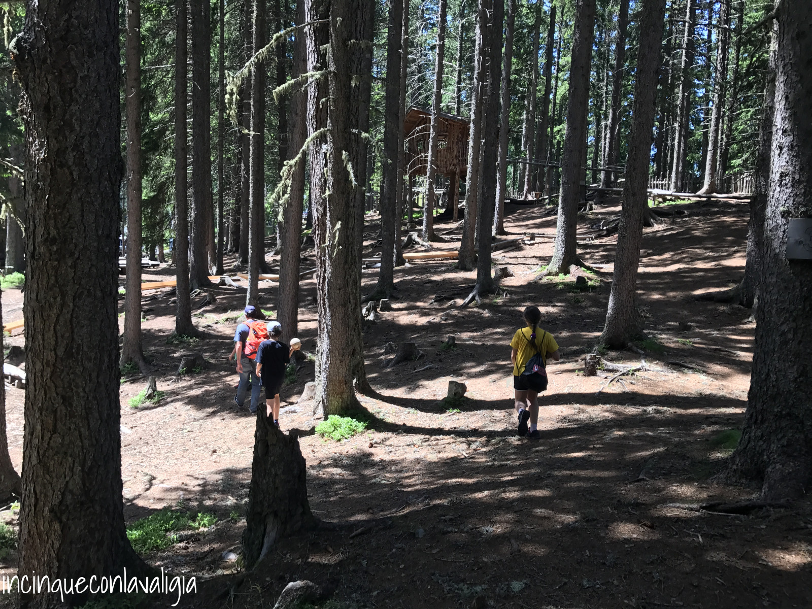 Pista di biglie nel bosco in Tirolo Costruire la pista nel bosco