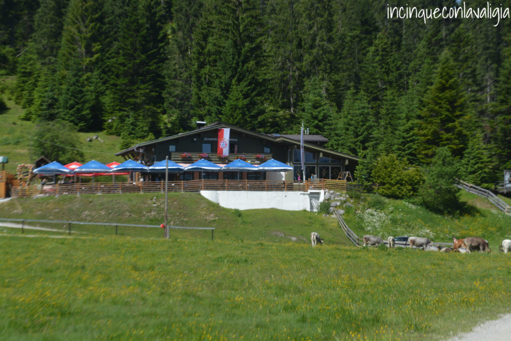 Malga Wildmoosalm Malga Wildmoosalm
