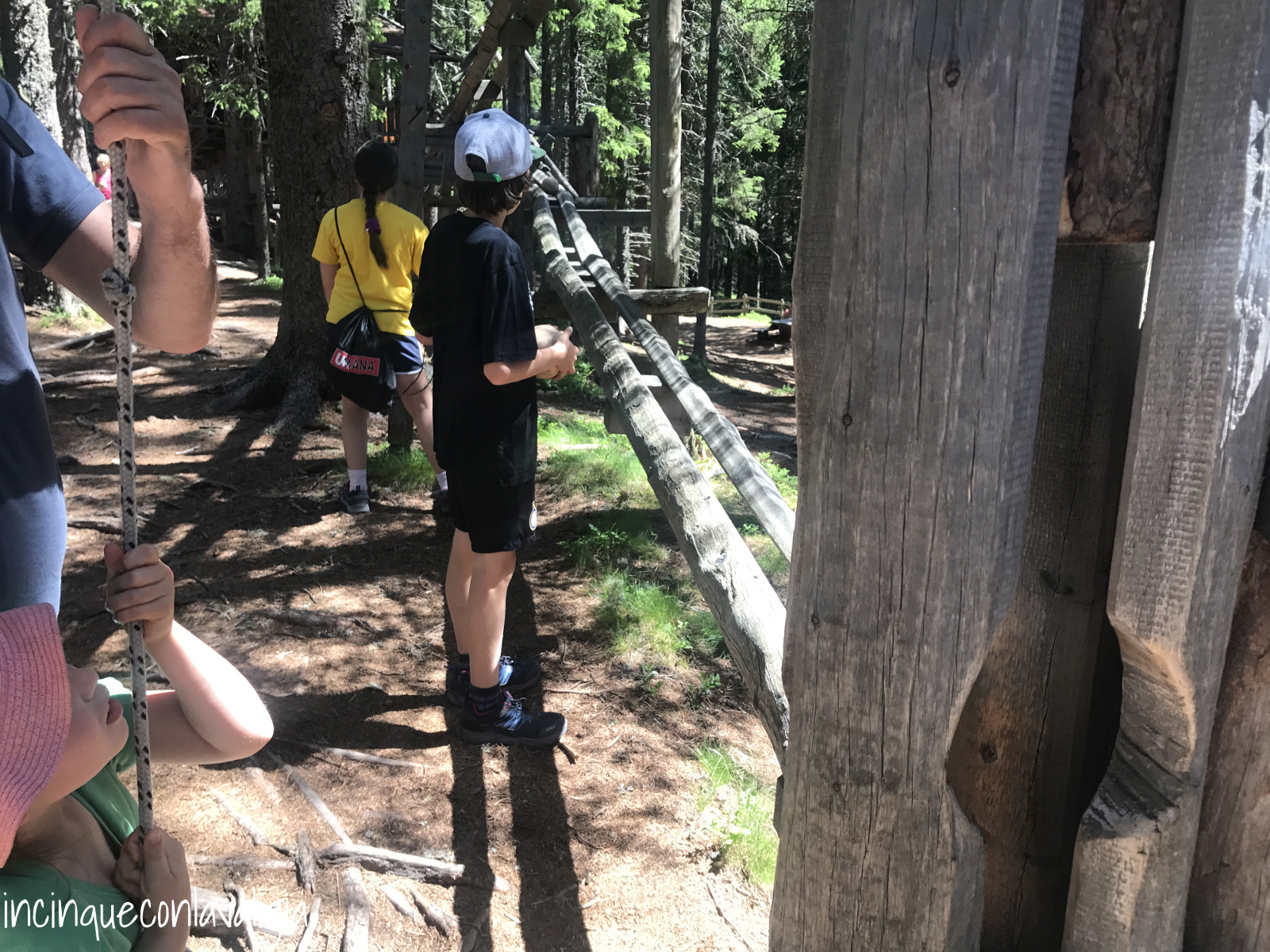Divertimento alla pista di biglie nel bosco Pista di biglie di legno in Tirolo
