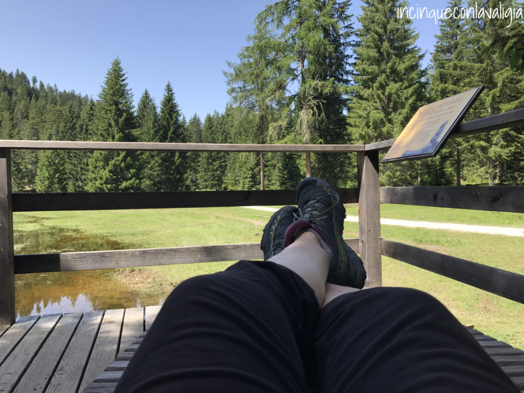 Relax alla malga Wildmoosalm in Tirolo Wildmoosalm