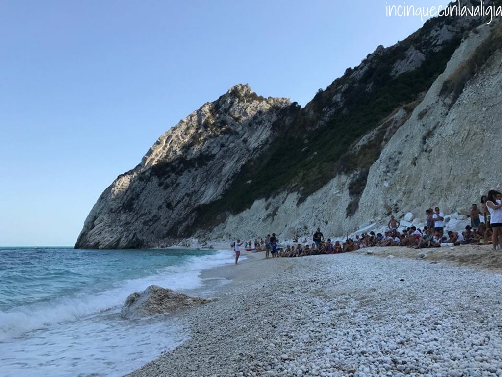 Rilascio delle Tartarughe al Conero Rilascio delle tartarughe al Conero