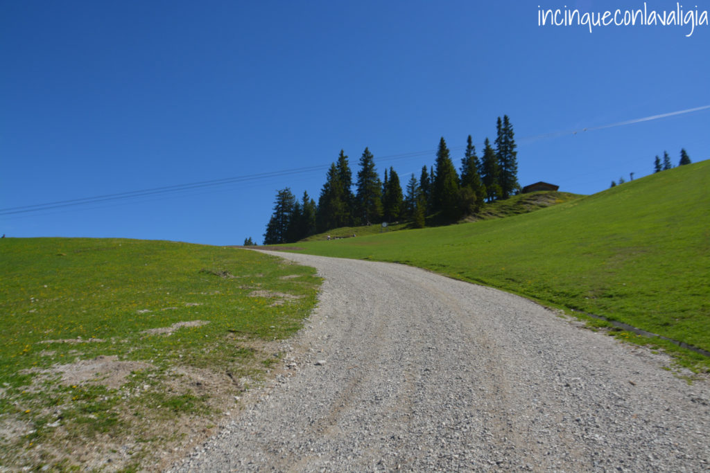 Seefeld in Tirolo Sentiero per Rosshütte