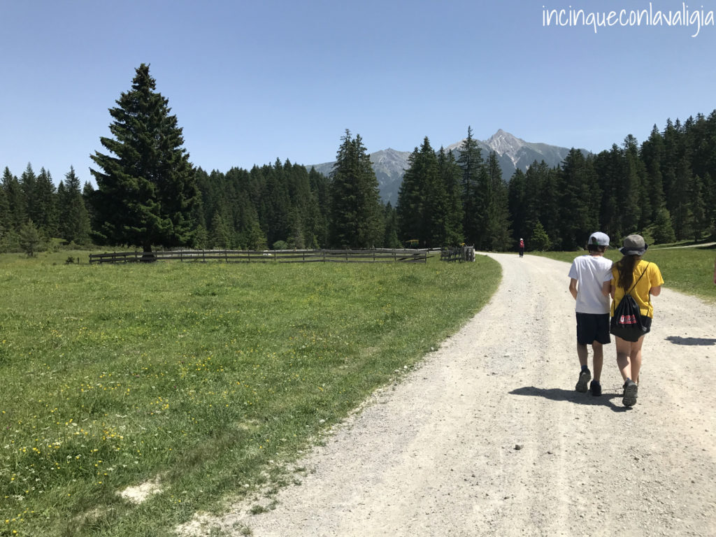 Malga Wildmoosalm in Tirolo Wildmoosalm a Seefeld in Tirolo