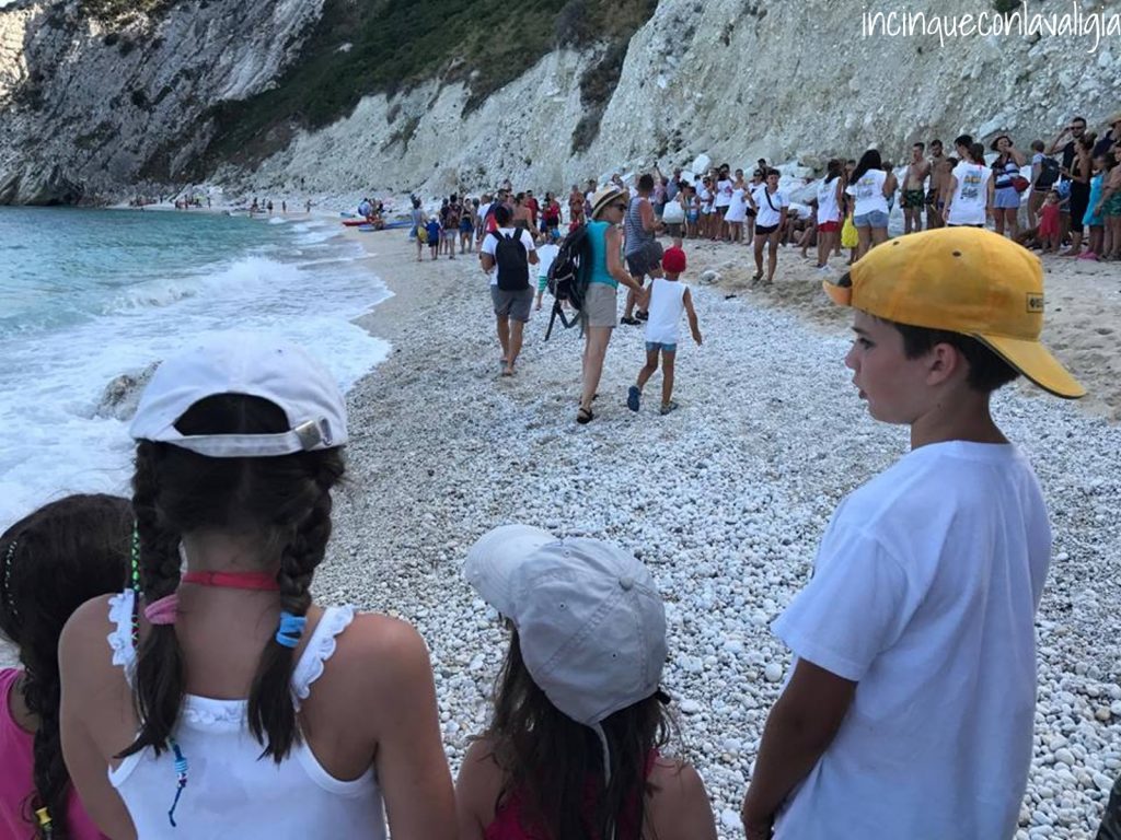 Evento Tartaday al Conero Spiaggia delle Due sorelle momento del rilascio della tartaruga