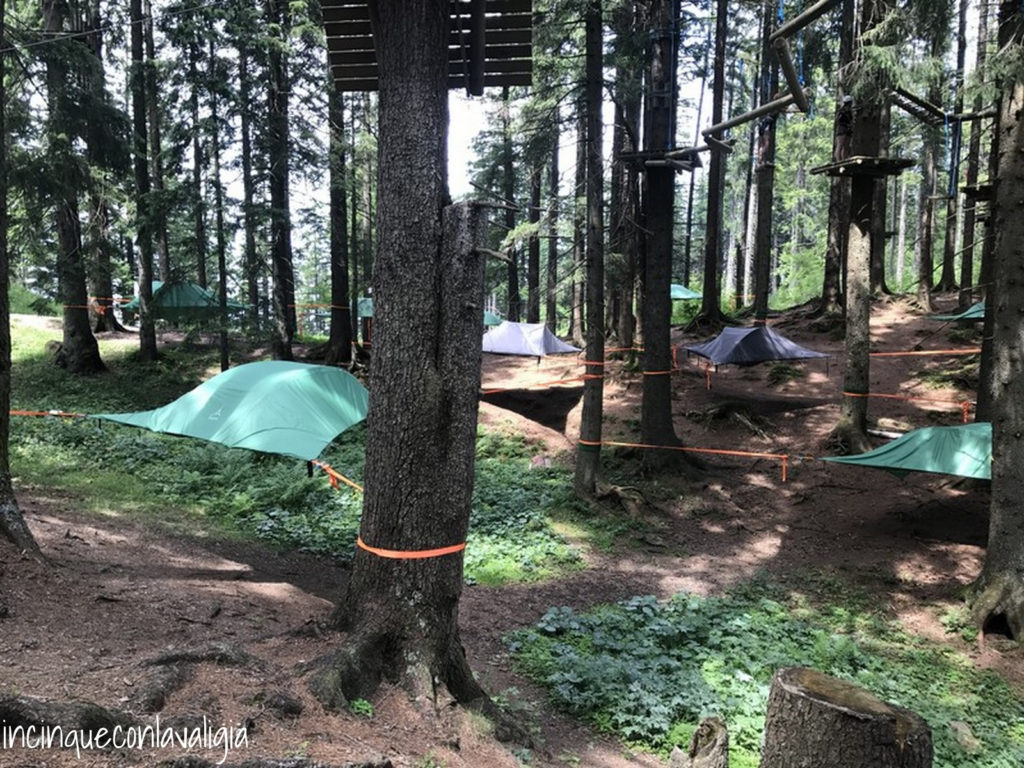 Tree_tent_Fräkmüntegg