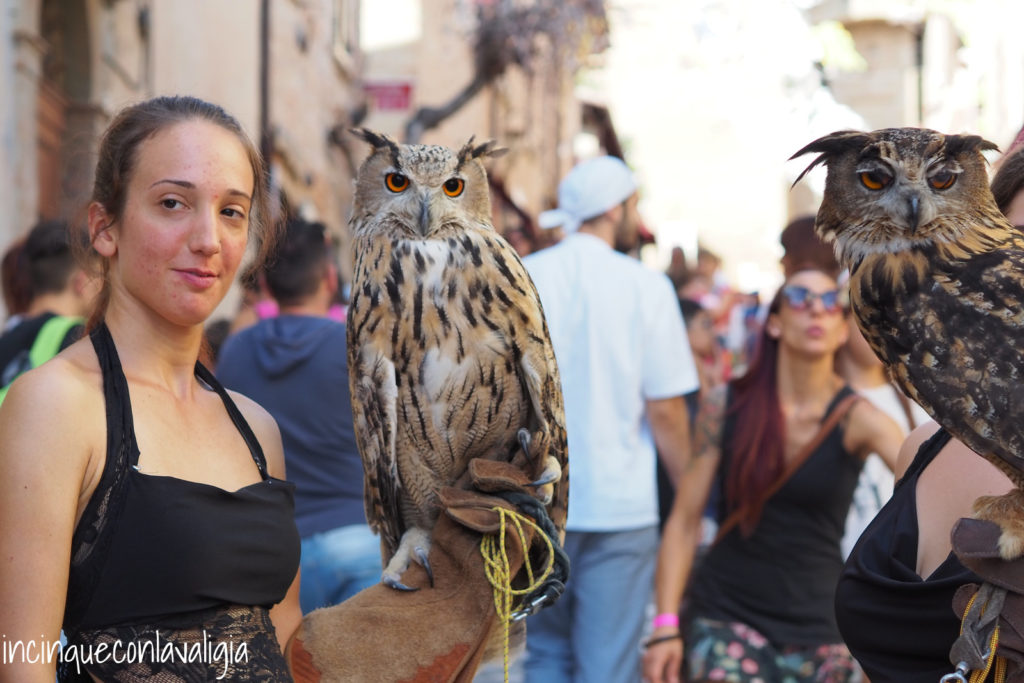 The Magic castle a Gradara spettacolo di falconeria Spettacoli falconeria Gradara