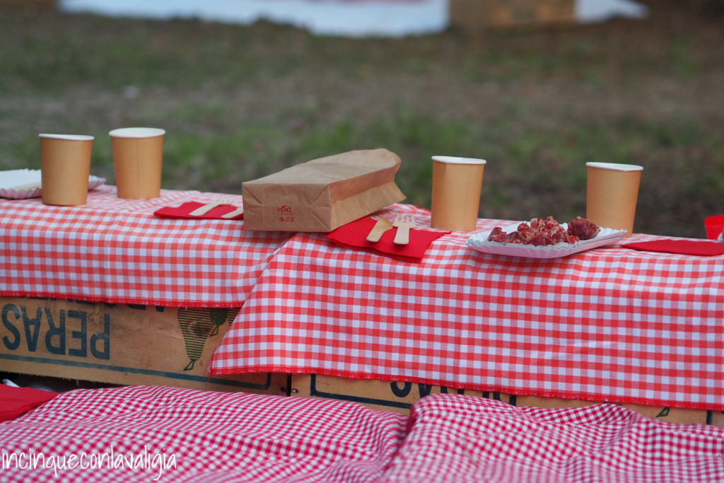 Tovaglie a quadretti e salame Picnic Scamporella