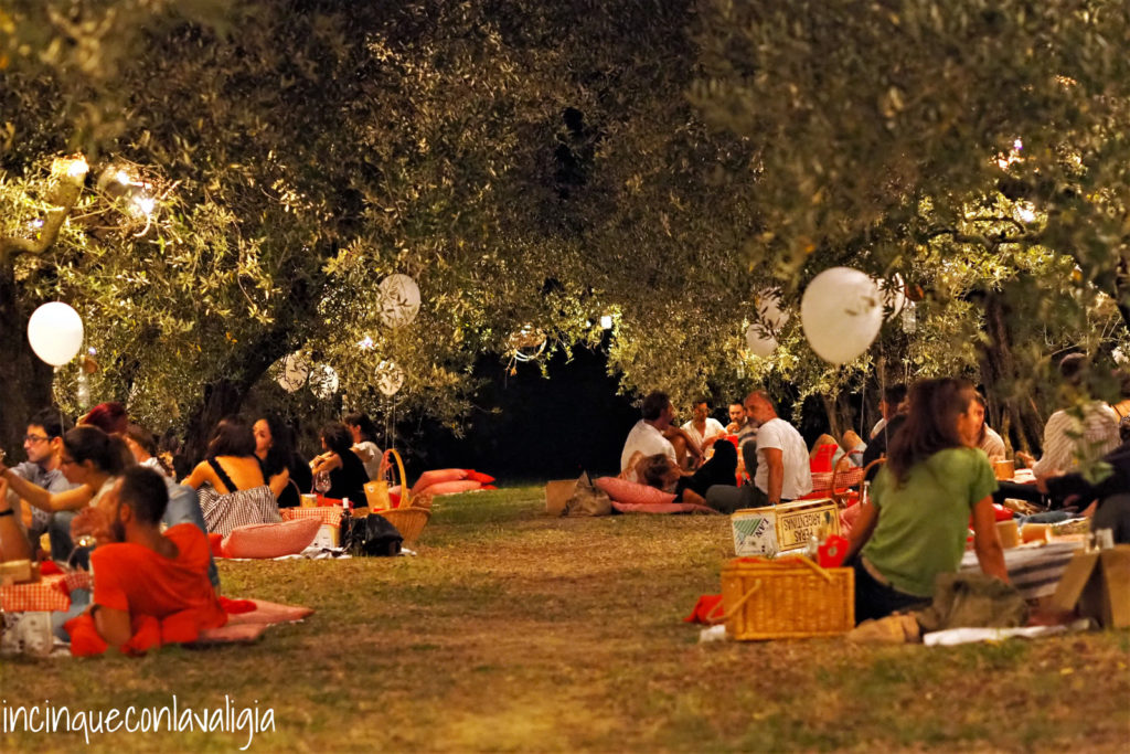 Atmosfera rilassata a Scamporella Picnic all'aria aperta sotto gli ulivi