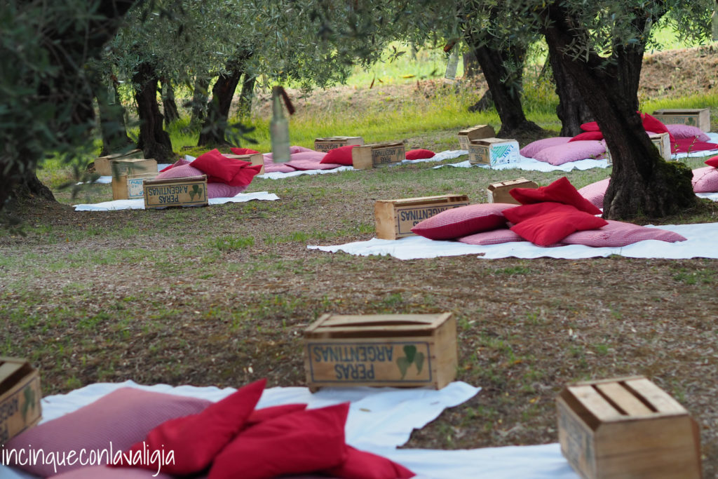 Scamporella picnic Scamporella location suggestiva tra gli ulivi